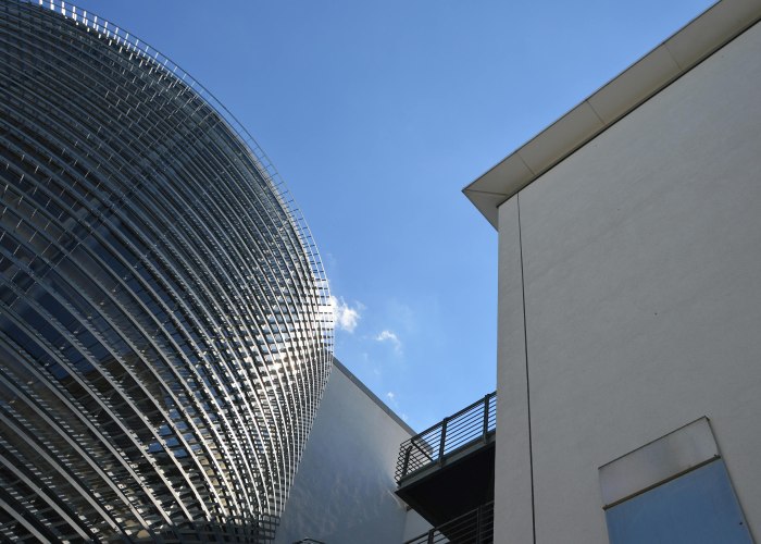 【胶的组词有哪些呢,胶的组词和拼音是什么】