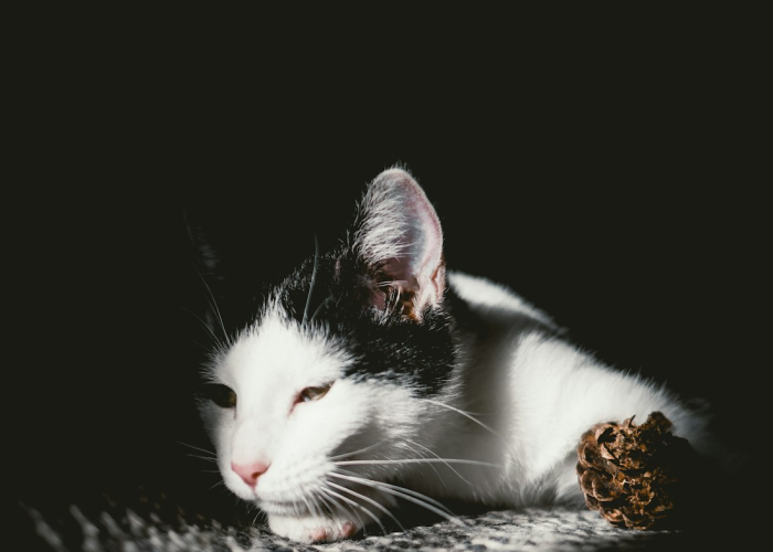 辽宁职业学院事件(4天报224例感染者辽宁一职校道歉)