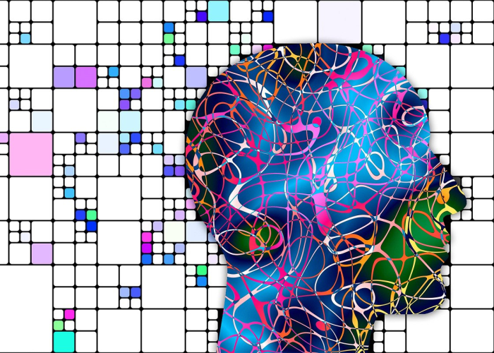 【两可以组什么词,两可以组什么词语和拼音】