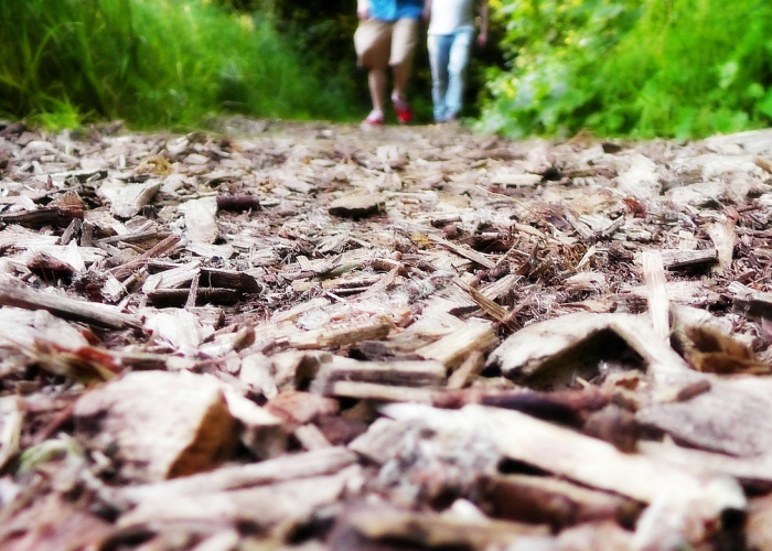 考研政治答题技巧，考研政治答题技巧2026