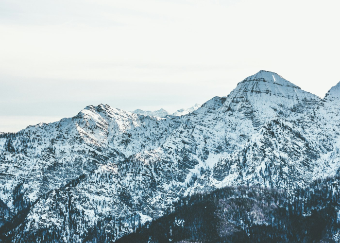 🟡 辽宁新增95例本土无症状：辽宁新增2例无症状感染者轨迹