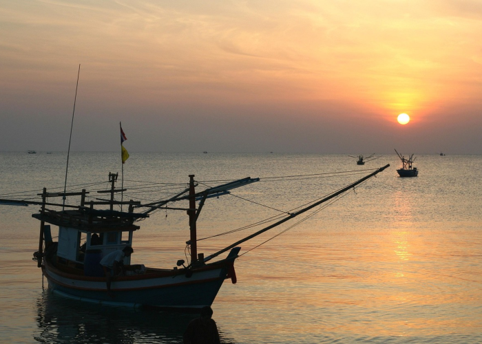 (重庆三峡医药高等专科学校在哪)，重庆三峡医药高等专科学校在哪个街道