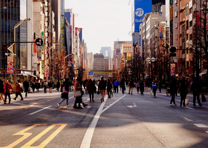 ➡️ 石家庄新增14例本土病例：石家庄新增44例本土确诊轨迹