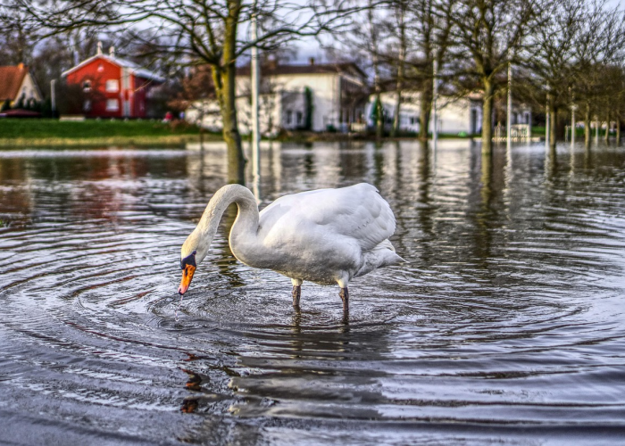 河北新增4例本土确诊：工地上的隔离日记，华北平原的微光守望