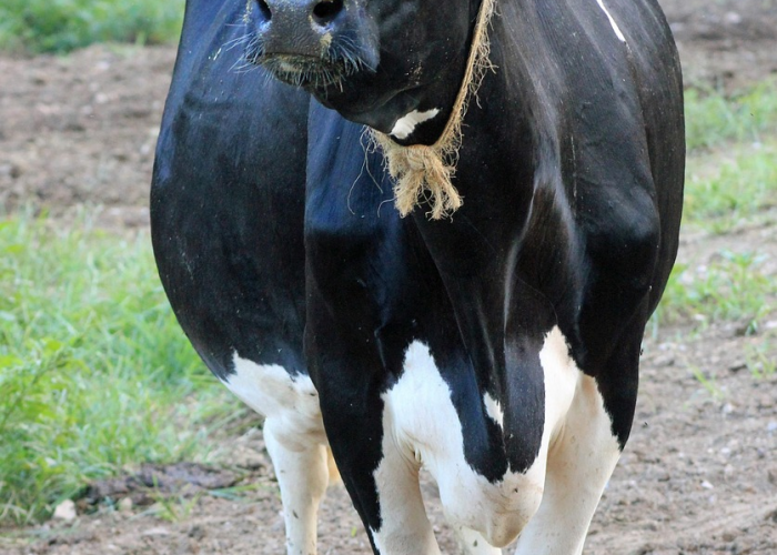 西安三地调整为中风险地区西安变中风险 ◼️