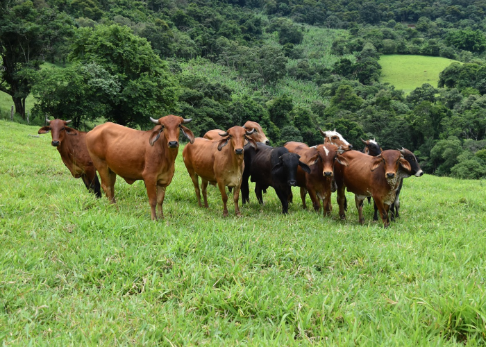 250元吨涨幅撬动生活天平，普通人的精打细算，车轮上的国家迎来拐点