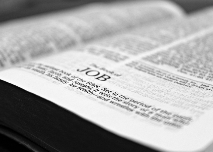 吉林市最新疫情情况吉林市疫情最新情况今日新增