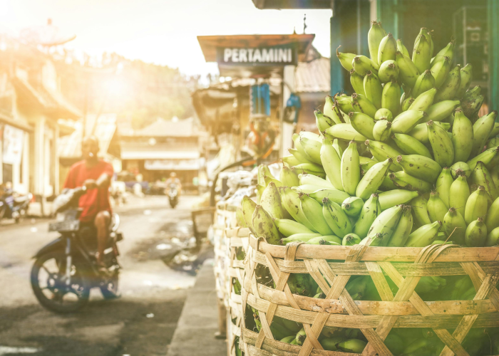 无锡报告31例阳性,无锡报告31例阳性病例 ⚡