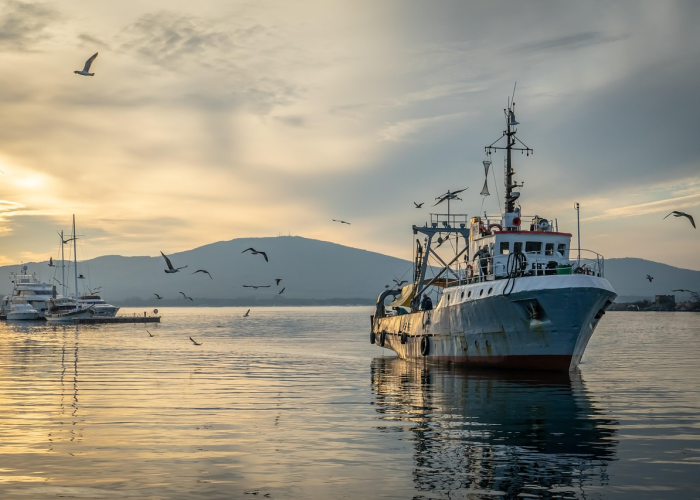 全国至少48市公共场所不再查核酸全国至少48市公共场所不再查核酸了吗