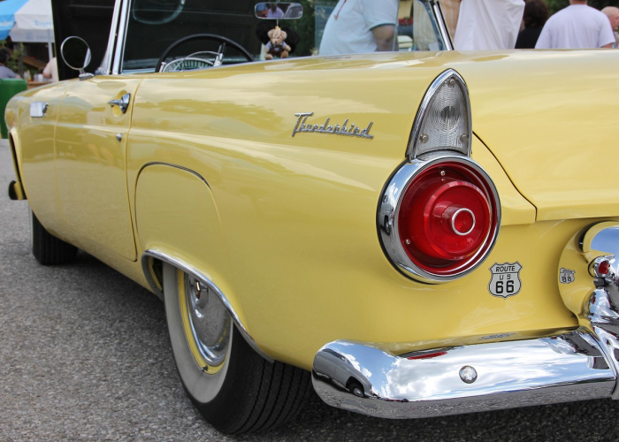 (妙音居士林)，妙音居士是谁