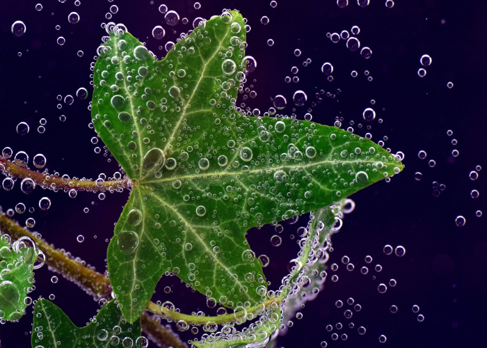 郑州本土病例零新增，解封时刻的暖光穿透疫情迷雾