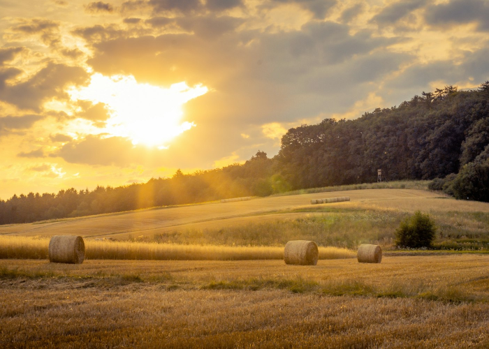 (牛漆皮是什么皮)，牛漆皮是牛皮吗