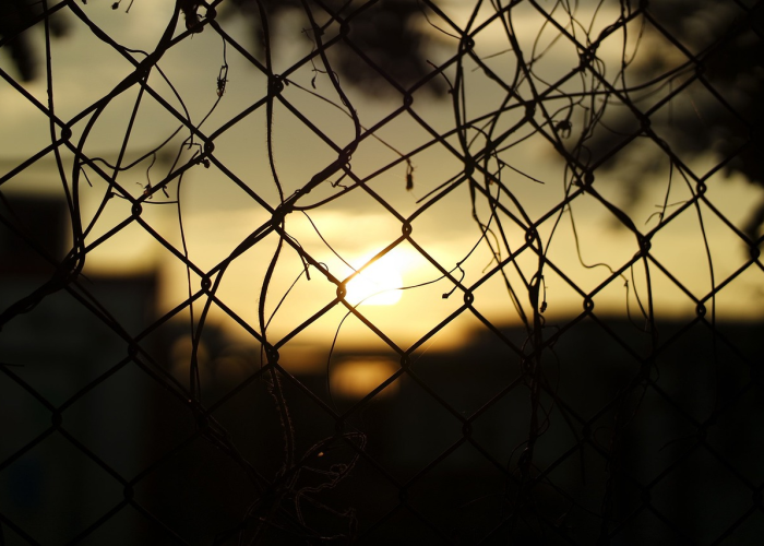 限号2021年四月最新限号时间(限号2024年1月限号时间表)