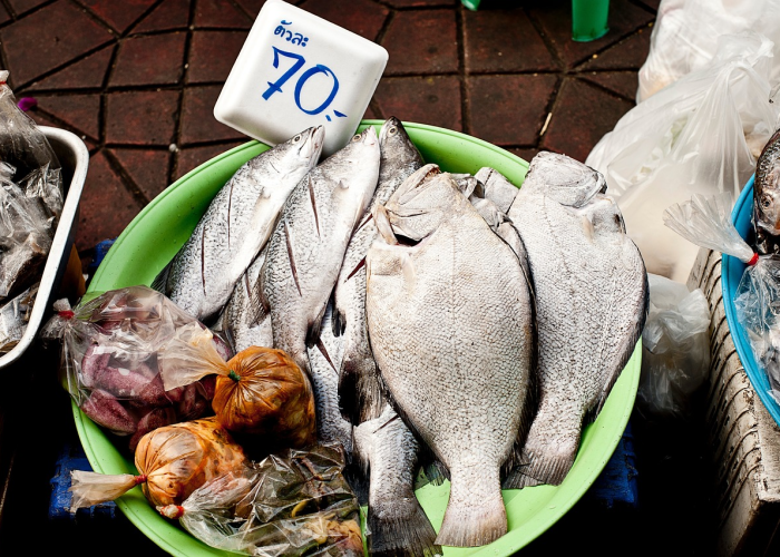 吉林通化疫情0号传染源确认,吉林通化确诊新型冠状病毒