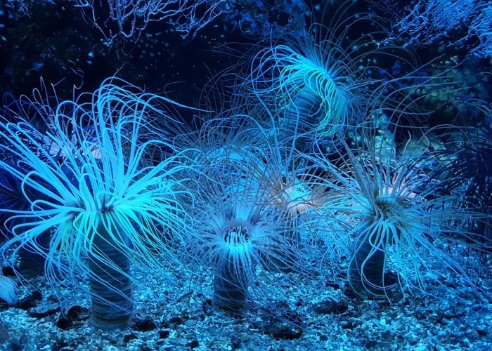 31省份新增2例本土确诊 均在安徽(31省区市新增本土确诊2例在安徽)